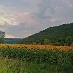 Ca' Dei Berici - Relax Tra Colli E Citta D'arte شقة