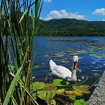 Ca' Dei Berici - Relax Tra Colli E Citta D'arte شقة