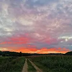Ca' Dei Berici - Relax Tra Colli E Citta D'arte