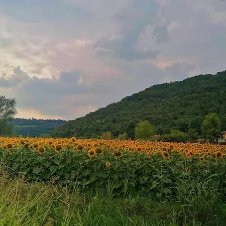 Ca' Dei Berici - Il Tuo A Un Passo Da Vicenza Apartment