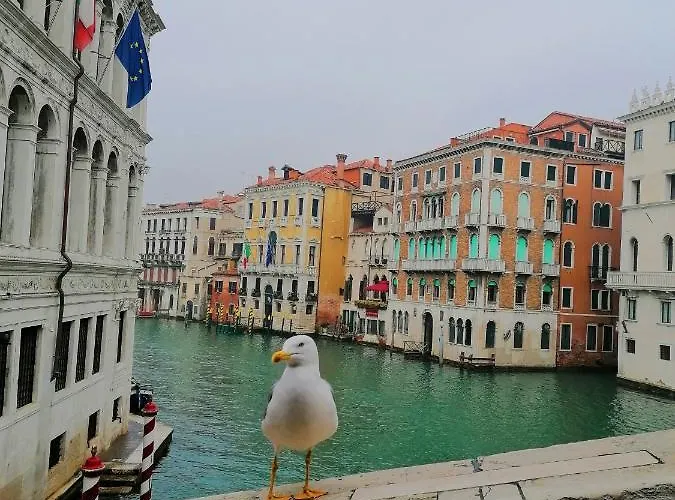 Ca' Dei Berici - Relax Tra Colli E Citta D'arte