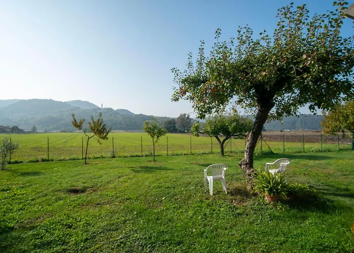 Ca' Dei Berici - Relax Tra Colli E Citta D'arte *
