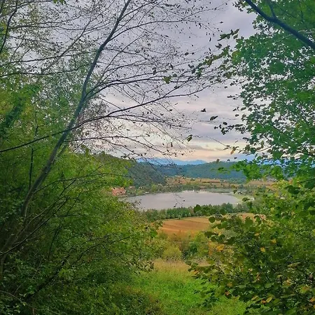 Lejlighed Ca' Dei Berici - Relax Tra Colli E Citta D'arte *
