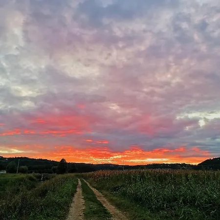 Ca' Dei Berici - Appartamenti A Un Passo Da Vicenza