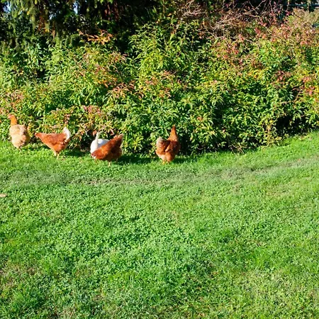 アパート Ca' Dei Berici - Appartamenti A Un Passo Da Vicenza